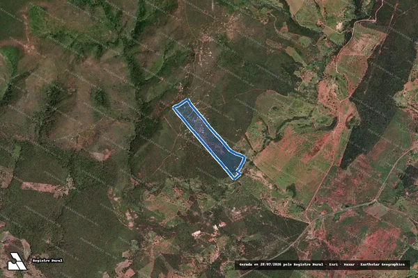 Imagem de satélite de FAZENDA PALMEIRAS - Parte 1 em Coronel Murta - MG
