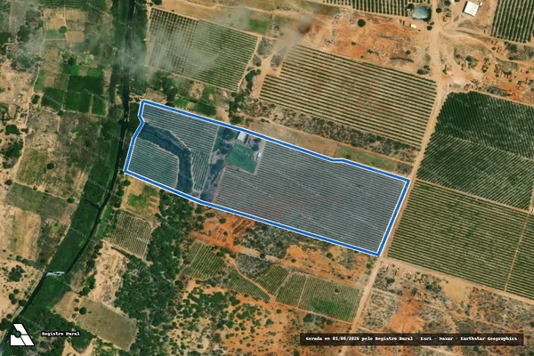 Imagem de satélite de SÍTIO ROMPEDOR - GLEBA 01 em Curaçá - BA