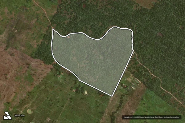 Imagem de satélite de FAZENDA POLIANA -  PARTE 02 em Pau D'Arco - PA