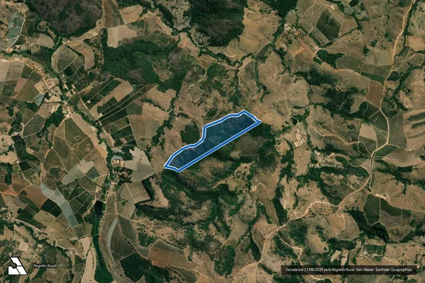 Imagem de satélite de FAZENDA FLORESTA - PARCELA 01 em Nepomuceno - MG
