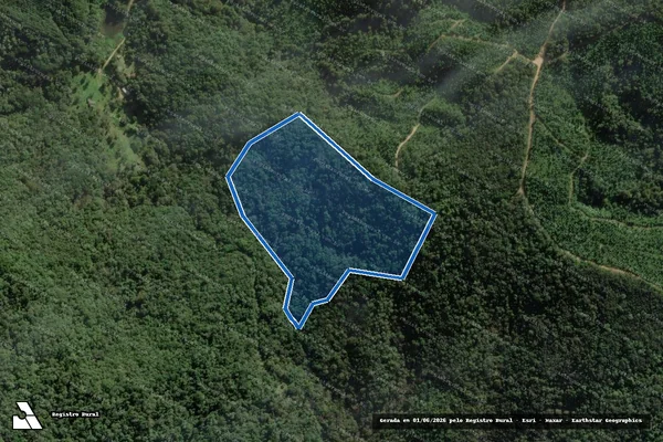 Imagem de satélite de Fazenda Taquara J - Matrícula 736 em Campo Largo - PR