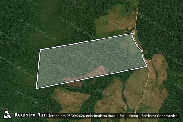 Imagem de satélite de Gleba Campinarana - Lote 839 / Lote 839