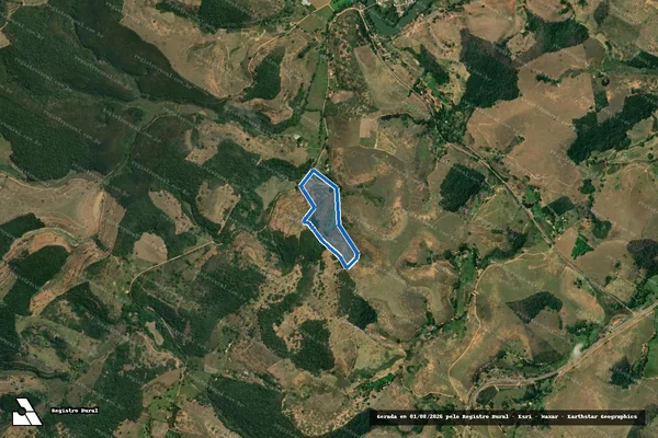 Imagem de satélite de Sítio Bagres e Boa Vista - Parte 1 em Leopoldina - MG