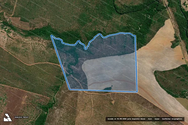 Imagem de satélite de FAZ. N. SRA. APARECIDA ? LOTE 48-D, LOT. RIBEIRÃO DOS BOIS - 001 em Rio dos Bois - TO