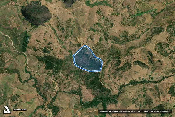 Imagem de satélite de FAZENDA ROLINHA - Parte 1 em Ataléia - MG