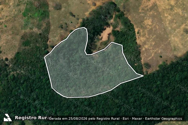 Imagem de satélite de SÍTIO QUERO VER ? GLEBA B - RESERVA LEGAL em Leopoldina - MG