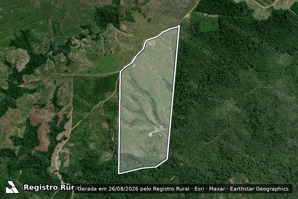 Imagem de satélite de FAZENDA ANJO GABRIEL - Parte 4 em Ipixuna do Pará - PA