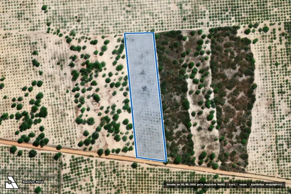 Imagem de satélite de FAZENDA VALE SANTA MARIA ? PARCELA 5B - Parte 1 em Palhano - CE