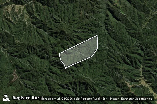 Imagem de satélite de Sítio Rio Verde em Papanduva - SC