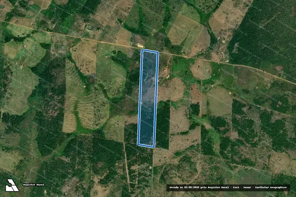 Imagem de satélite de SÍTIO BELA VISTA - T.D. LOTE 225 (VIC.03 CAMPOS NOVOS) em Iracema - RR