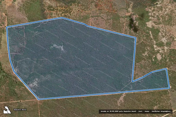 Imagem de satélite de FAZENDA FORMOSA DO RIACHO DA CARNAUBA - Gleba G02 - Gleba I em Itaguaçu da Bahia - BA