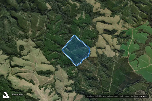 Imagem de satélite de Fazenda Roncador e Betega - Fazenda Roncador e Betega em Arapoti - PR