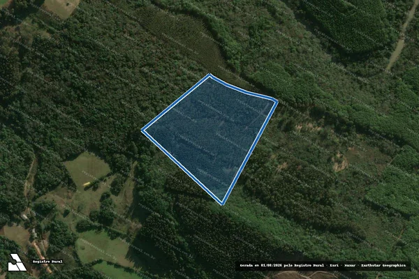 Imagem de satélite de Salto Leão em Campos Novos - SC