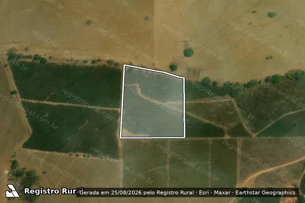 Imagem de satélite de FAZENDA TRES BARRAS - GLEBA 1 em Claraval - MG
