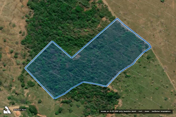 Imagem de satélite de RESERVA FLORESTAL 02 - Projeto de Assentamento Roseli Nunes II - Parte 1 em Resplendor - MG