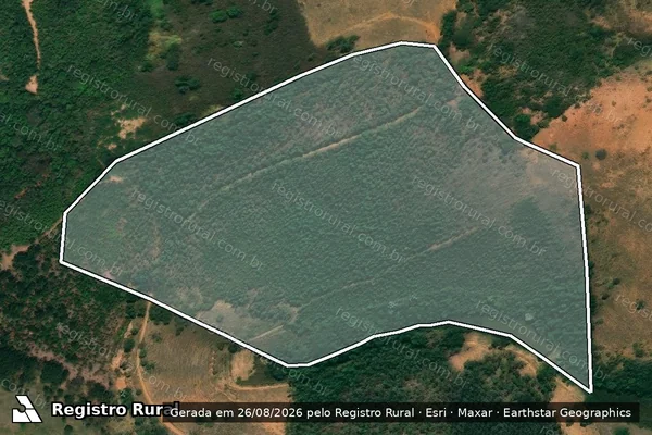 Imagem de satélite de Fazenda Gaspar e Souza - Parcela 1 em Alvinópolis - MG