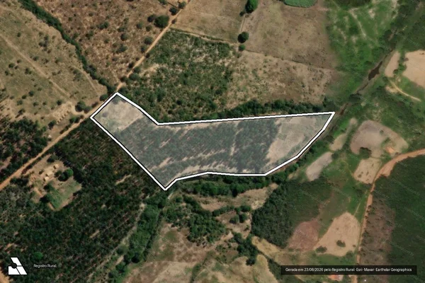 Imagem de satélite de FAZENDA BONFIM  - Parte 1 em Rio Pardo de Minas - MG