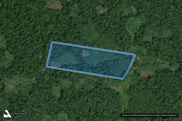 Imagem de satélite de PARCELAS GLEBA UAUPÉS - LOTE 308 em São Gabriel da Cachoeira - AM