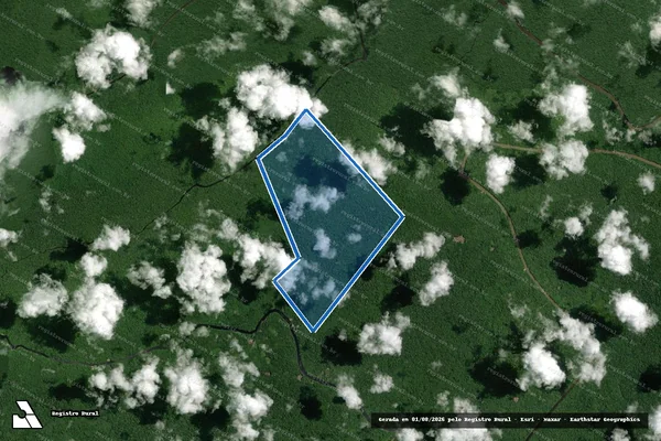 Imagem de satélite de FAZENDA BOULEVAR DO PANTOJA - Parcela 2 em Melgaço - PA