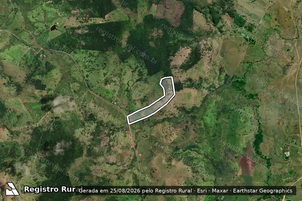 Imagem de satélite de FAZENDA SÃO TOMÉ - GLEBA 04 em Ibicuí - BA
