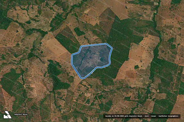 Imagem de satélite de FAZENDA TIÚBAS - GLEBA 02 em Campos Verdes - GO