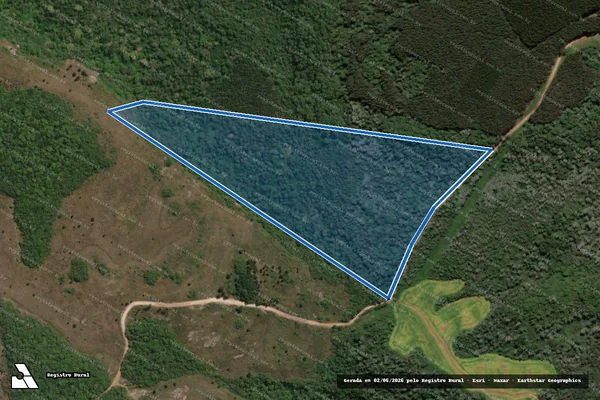 Imagem de satélite de Fazenda São João - Única em Castro - PR
