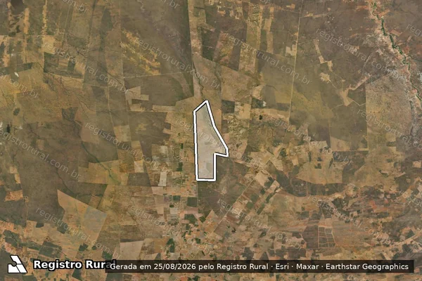 Imagem de satélite de FAZENDA REUNIDAS NOVA BRASILIA - Parcela 4 em Sento Sé - BA