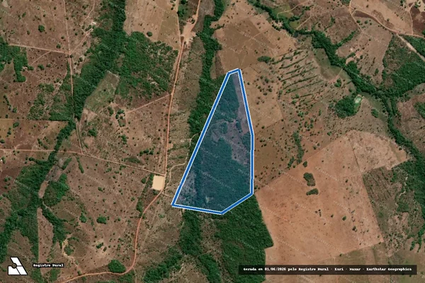 Imagem de satélite de LOTE 30, PA CONSOLAÇÃO - LOTE 30, PA CONSOLAÇÃO em Divinópolis do Tocantins - TO