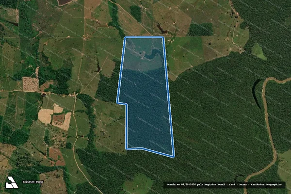 Imagem de satélite de Lote 529A - Colônia Nova Esperança - Parcela 1 em Acrelândia - AC
