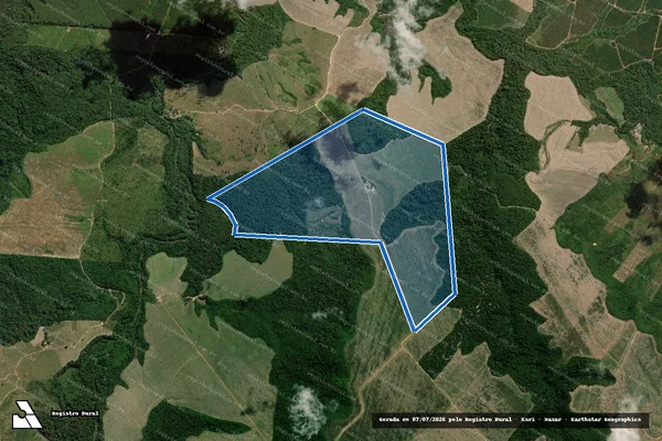 Imagem de satélite de FAZENDA RIO VERDE - FAZ RIO VERDE em Dom Eliseu - PA