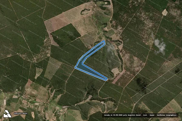 Imagem de satélite de FAZENDA LAJEDO - GLEBA 04 em Taiobeiras - MG