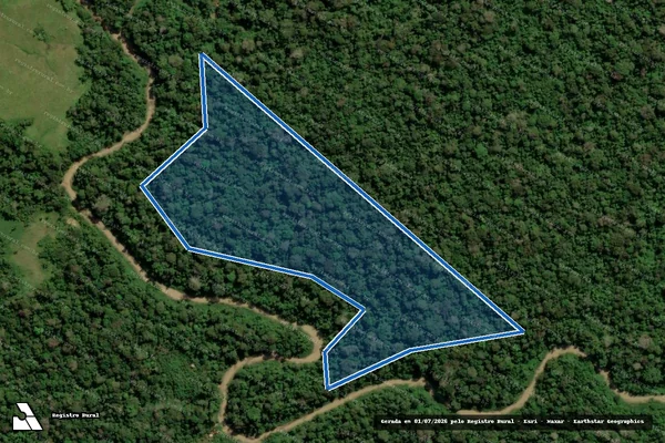 Imagem de satélite de FAZENDA NOVO MACAPÁ em Manoel Urbano - AC