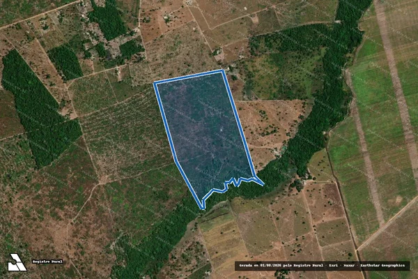 Imagem de satélite de PROJETO DE ASSENTAMENTO SANTA CRISTINA ? LOTE 87 - Parte 1 em Santana do Araguaia - PA