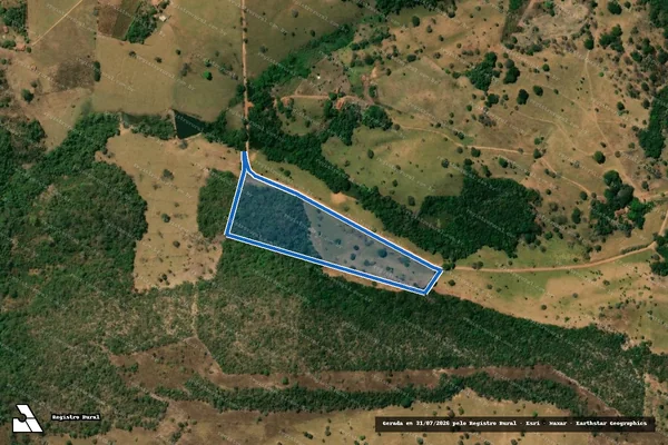 Imagem de satélite de Lote ? 16 - Projeto de Assentamento Vale do São Patrício - Lote ? 16 - Projeto de Assentamento Vale do São Patrício - Parte 2 em Itapaci - GO