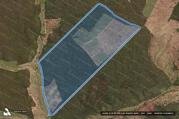Imagem de satélite de FAZENDA SANTA LUZIA DO PEIXE - Gleba II em Santa Rita de Cássia - BA