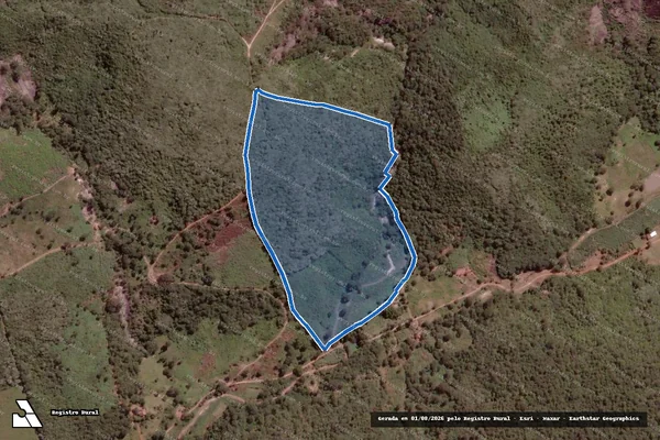 Imagem de satélite de FAZENDA BOM SUCESSO - Parte 1 em Coronel Murta - MG