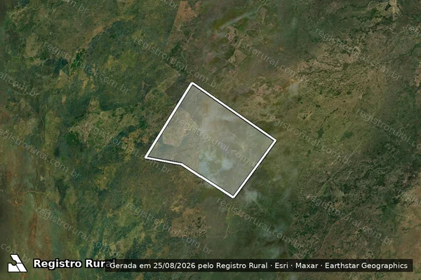 Imagem de satélite de FAZENDA PALMEIRA - Parte em Corumbá - MS