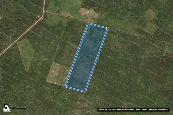 Imagem de satélite de PROJETO DE ASSENTAMENTO PAULO FREIRE - LOTE 51 - Parte 1 em Mossoró - RN