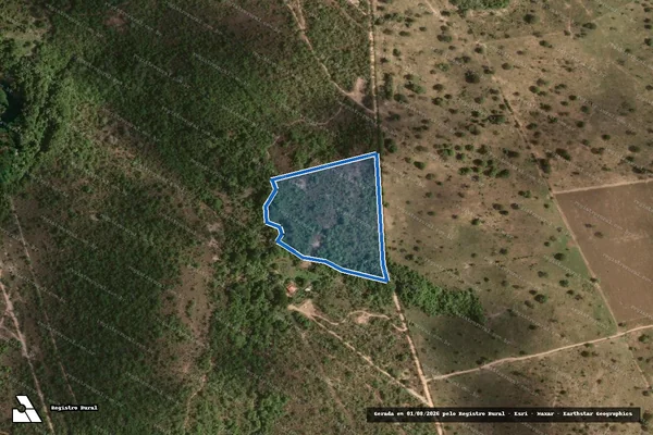 Imagem de satélite de FAZENDA BOA VISTA-SANTA ROSA - GLEBA 04 em Cavalcante - GO