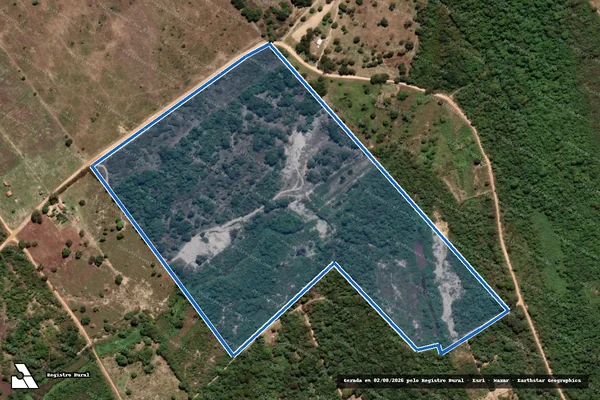 Imagem de satélite de FAZENDA CRUZ - Parte 2 em Januária - MG