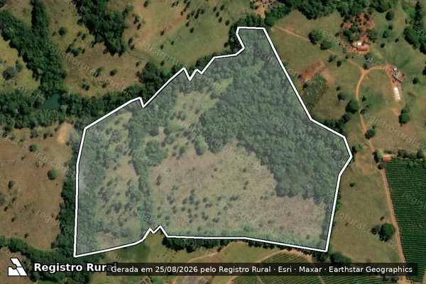 Imagem de satélite de FAZENDA VALADARES, LUGAR DENOMINADO FLORESTA em São Gotardo - MG