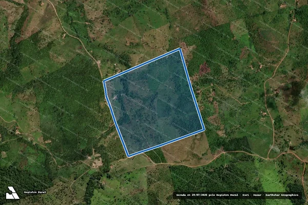 Imagem de satélite de LOTE 53 ? PA LIMEIRA -  LOTE 53 em Xambioá - TO