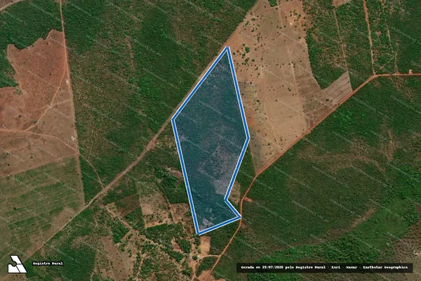 Imagem de satélite de Lote 07 ? P.A. Floresta - Lote 07 em Pium - TO
