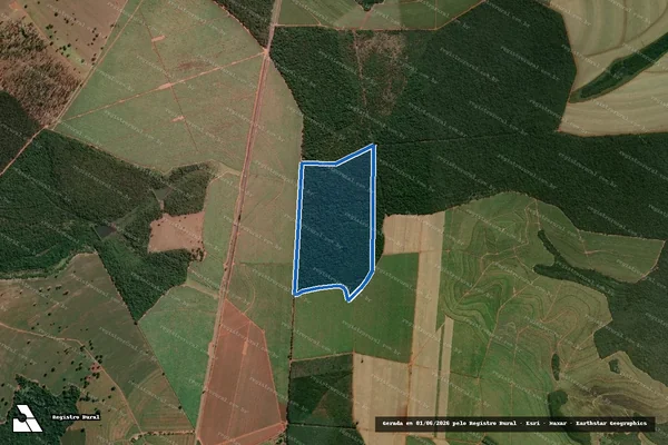 Imagem de satélite de Fazenda Tapirus (Area Desmembrada) em Regente Feijó - SP