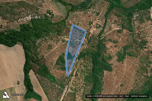 Imagem de satélite de FAZENDA FLORESTA, LOTE Nº 75, GLEBA ANAJA, LOTº. GARÇAS - Gleba 02 em Palmeirante - TO