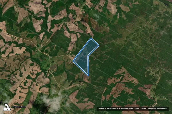 Imagem de satélite de PA Floresta/Lagoa / Lote 49 - Lote 49 em Piratini - RS