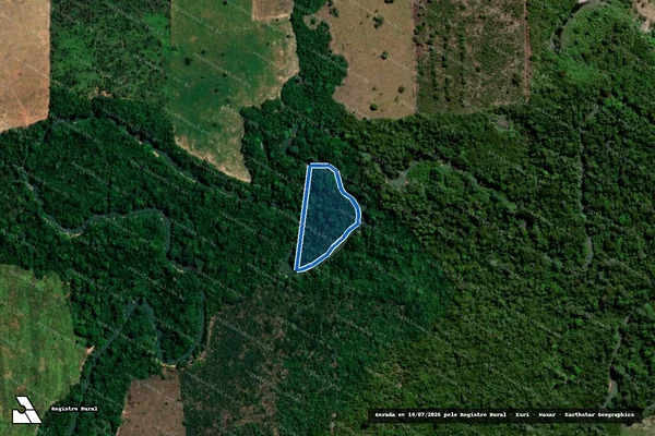 Imagem de satélite de PROJETO DE ASSENTAMENTO PADOVANI – LOTE Nº 319