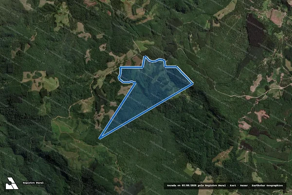 Imagem de satélite de FAZENDA TESLUK - Matrícula 12.853 em Mallet - PR