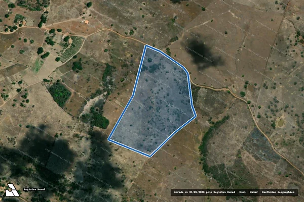 Imagem de satélite de Fazenda Nossa Senhora da Conceição - Fazenda Nossa Senhora da Conceição em Muribeca - SE