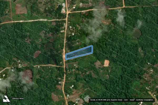 Imagem de satélite de PARCELAS GLEBA UAUPÉS - LOTE 069 em São Gabriel da Cachoeira - AM